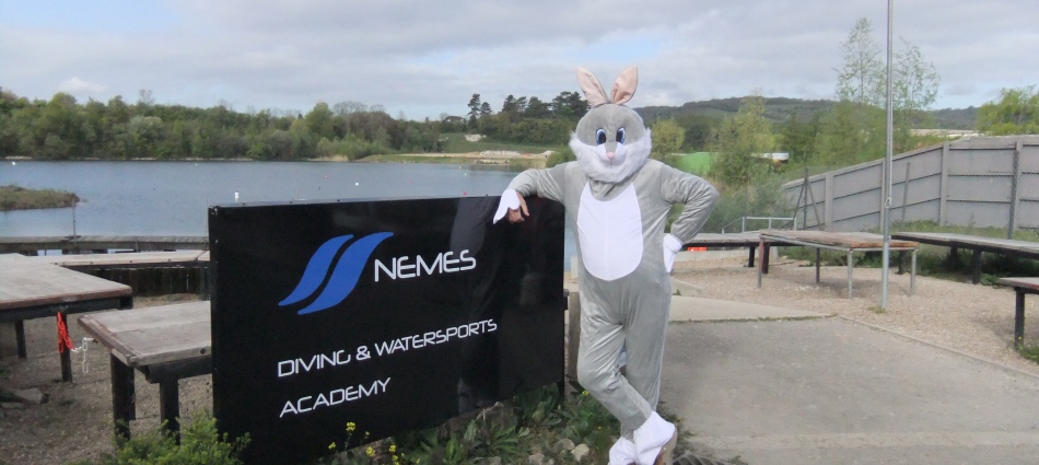 Nemes Easter Bunny